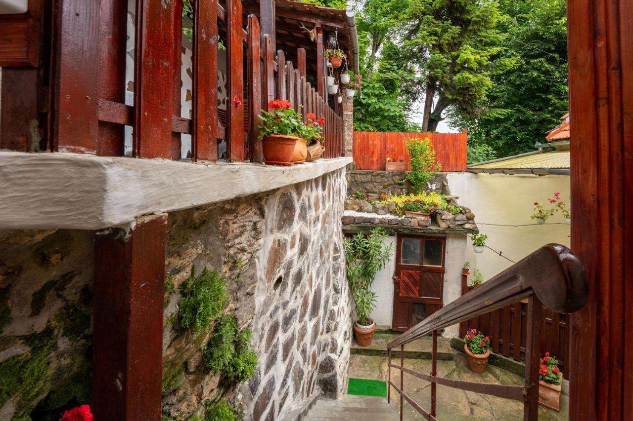 Gloria Apartments Sighişoara Exterior foto